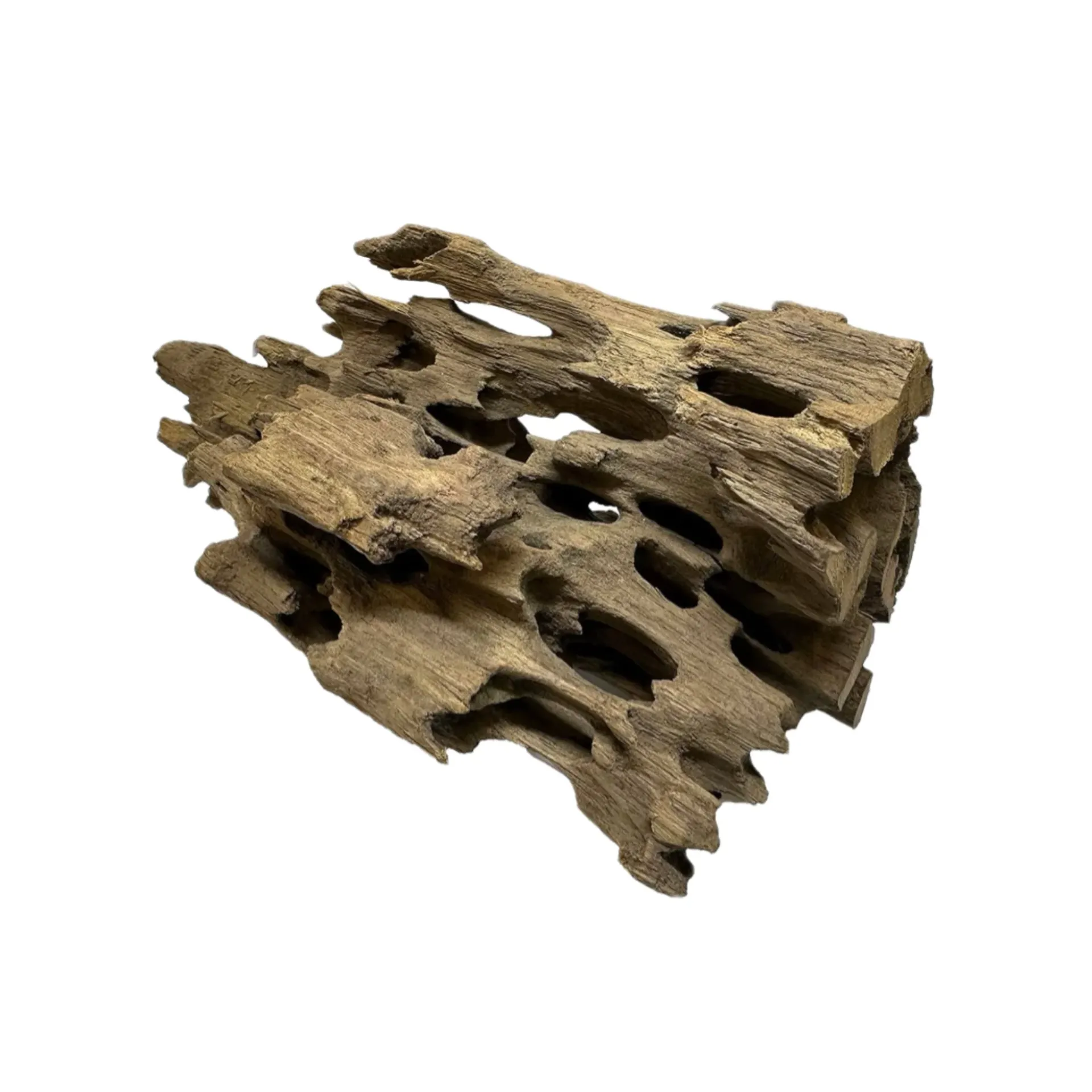 [DRAG224] Dragon or Honeycomb Wood (Small / <18 cm)