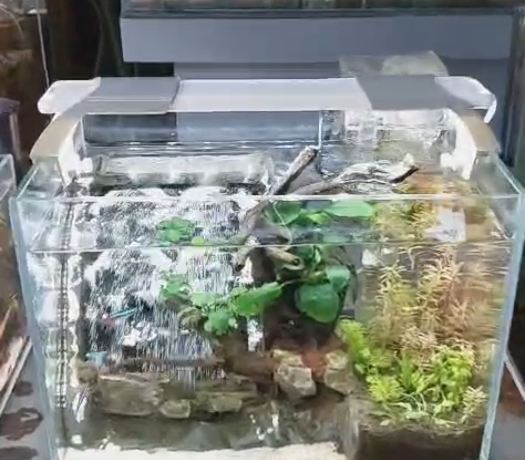 Aquascape | Sand Waterfall