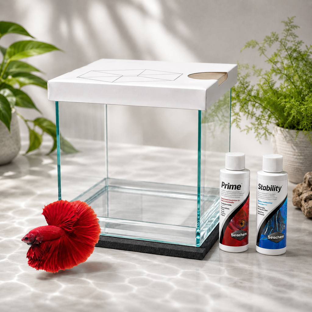 Betta Basic Bundle