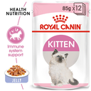 Feline Health Nutrition Kitten Jelly (Wet Food - Pouches) 12 x 85 g