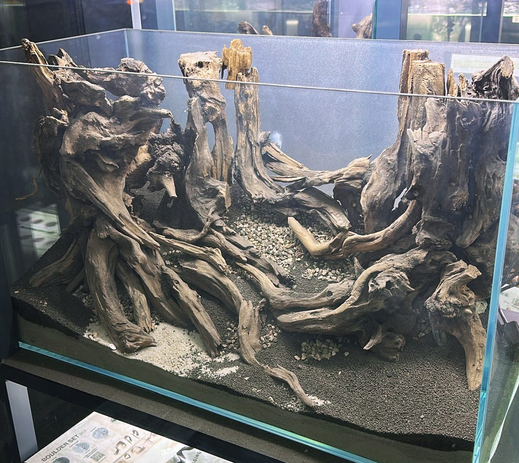 Dry Aquascape 60 cm