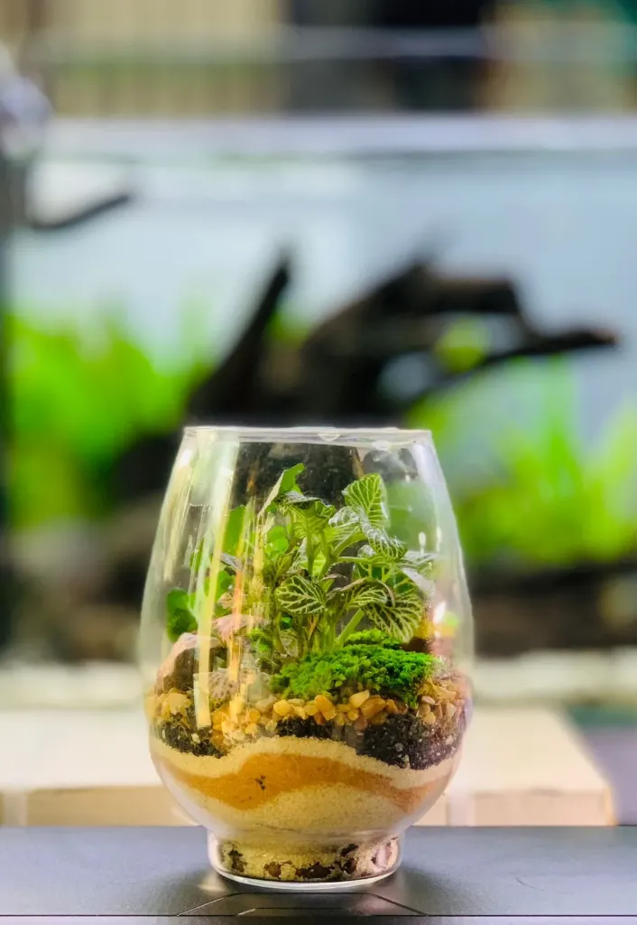 Terrarium Vase Open M