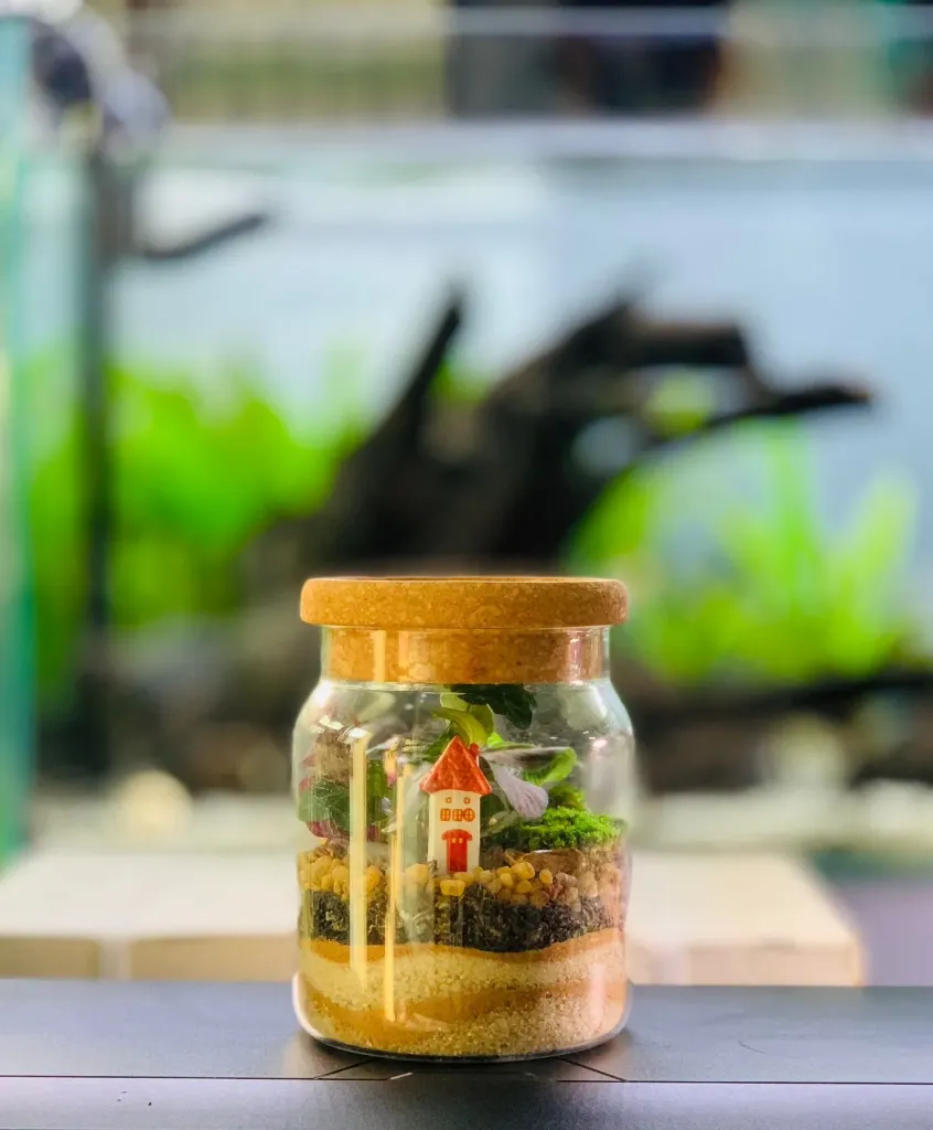 Terrarium Jar Flat S