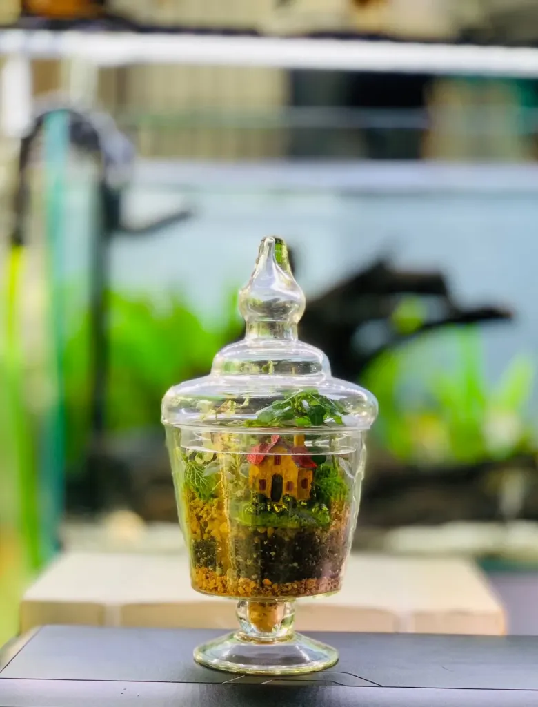 Terrarium Gls Ped