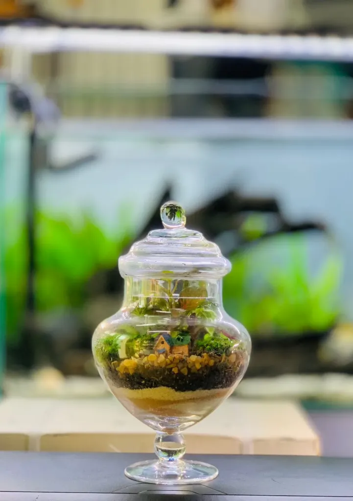 Terrarium Gls Ped SM