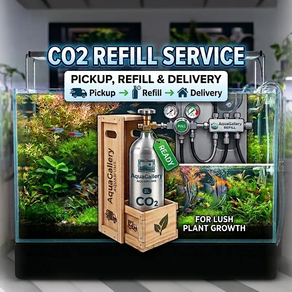 [CO2-01L] Service: CO2 Cylinder Refill with Pickup and Delivery (1 L or less)