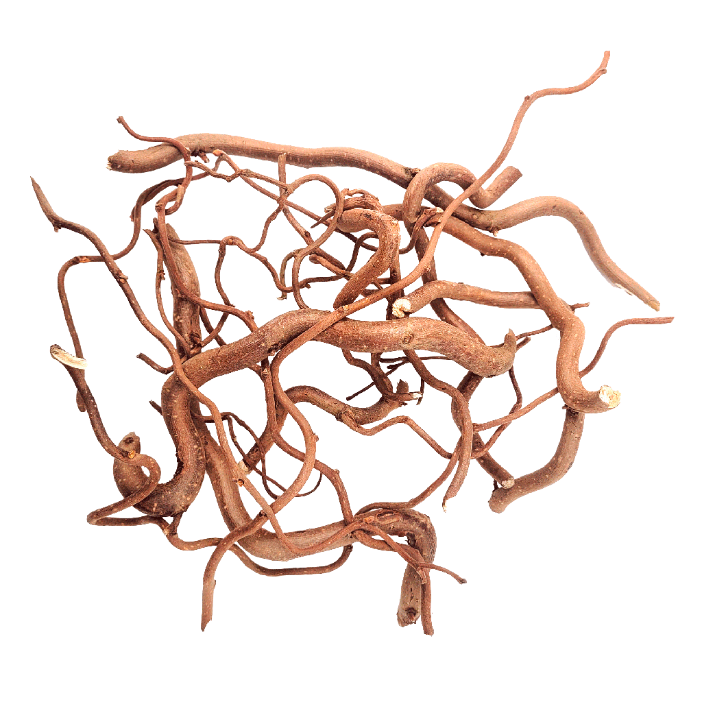[WI52402] WIO | Root - Twisted