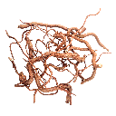 WIO | Root - Twisted