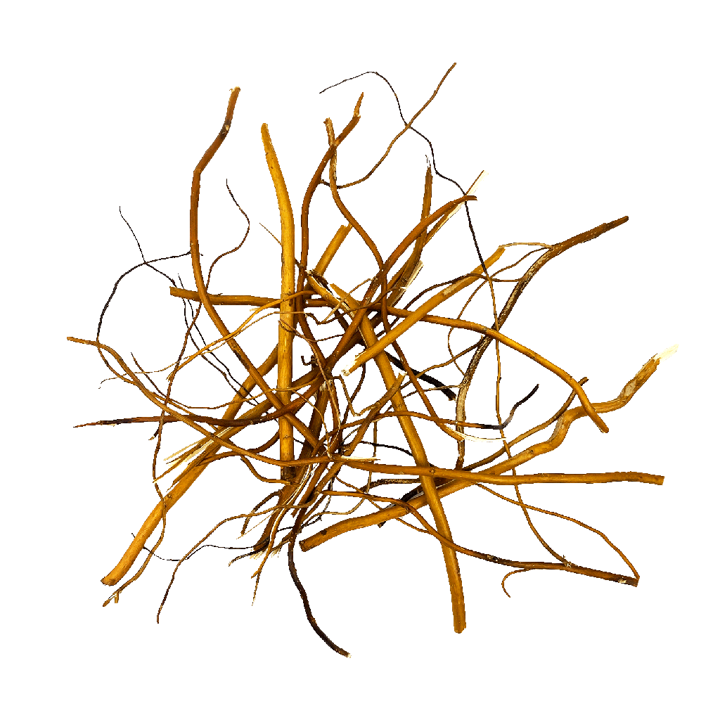 [WI52404] WIO | Root - Amber