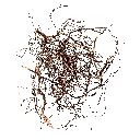WIO | Root - Mini