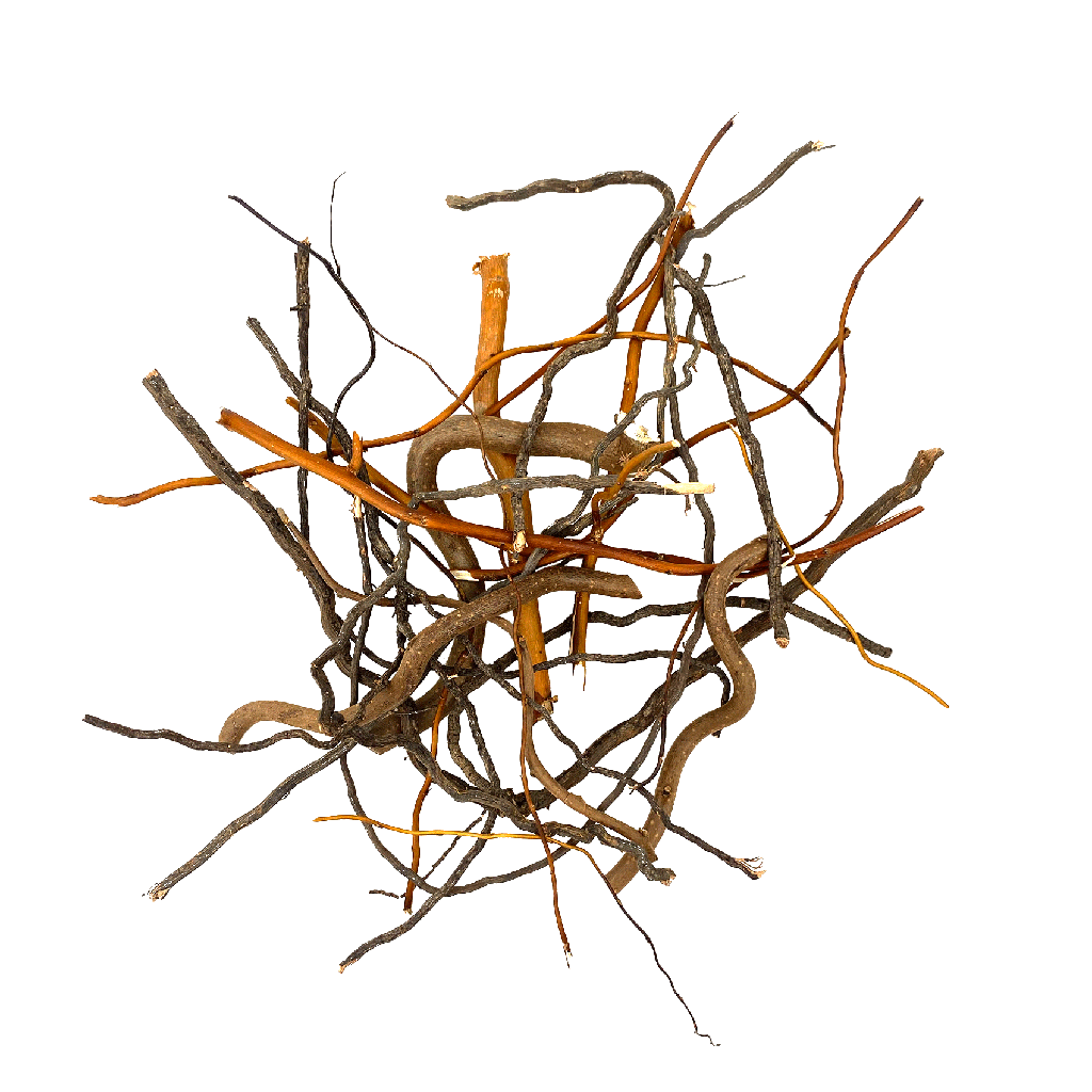 [WI52403] WIO | Root - Mix