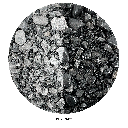 WIO | Accents - Black Chip