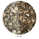 WIO | Accents - Brown Chip