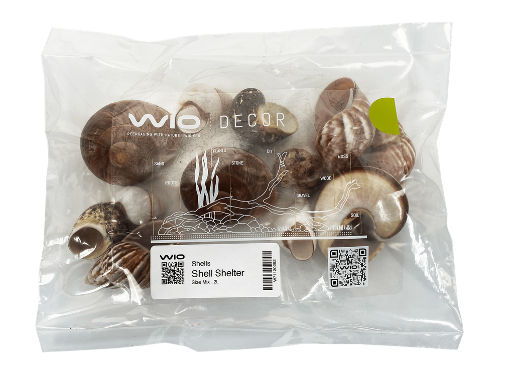 [WI71120252] WIO | Enrichment - Shell Shelter