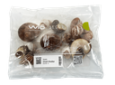 WIO | Enrichment - Shell Shelter