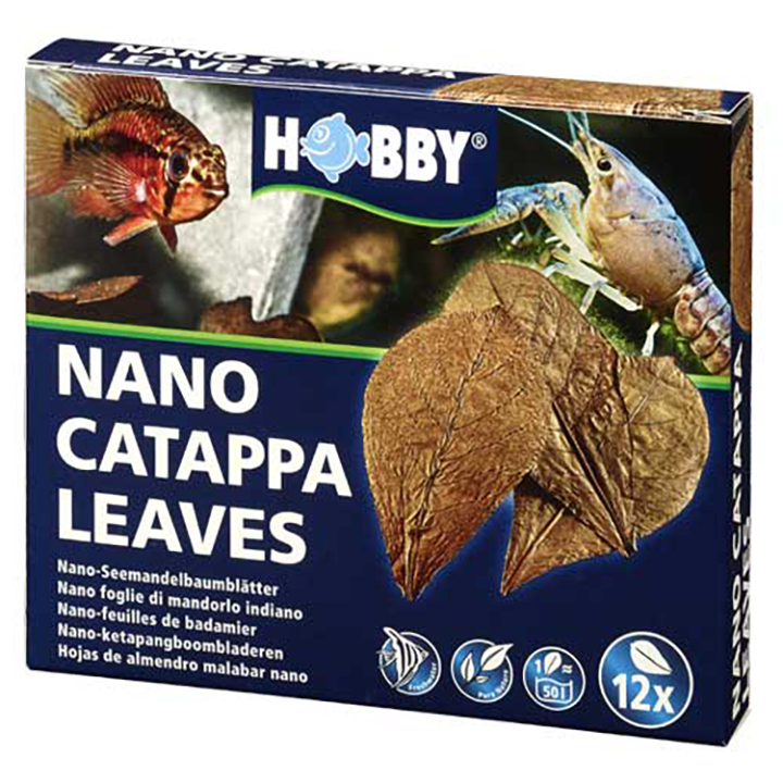 [HO51100] Nano Catappa Leaves (12 pcs)