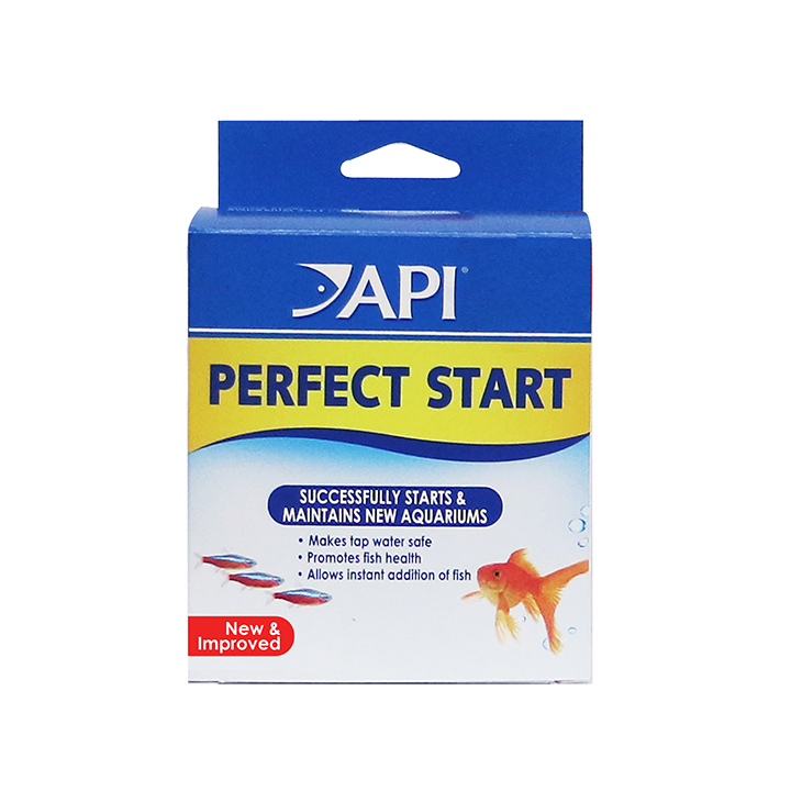 [AP84N] API Perfect Start