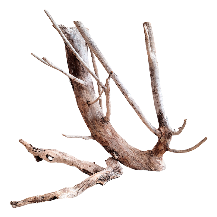 [WI71010951] WIO | Neptune Wood Mix by weight (price as 0.12 AED per gram; 120 AED per kg)