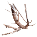 WIO | Neptune Wood Mix by weight (price as 0.12 AED per gram; 120 AED per kg)