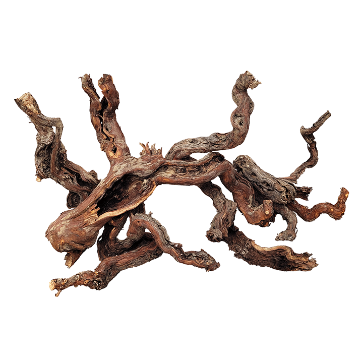 [WI71011651] WIO | Centurion Wood by weight (price as 0.08 AED per gram; 80 AED per kg)