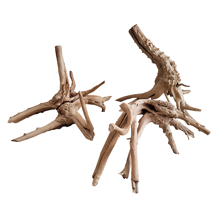 [WI71010751] WIO | Tree Trunk Wood Mix by weight (price as 0.09 AED per gram; 90 AED per kg)