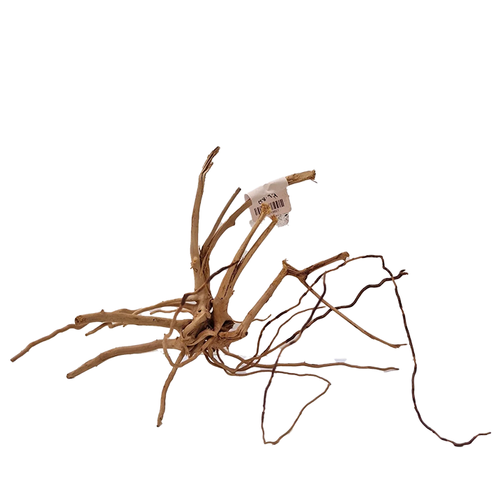 [WI71010600] WIO | Nano Wood by piece