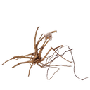 WIO | Nano Wood by piece