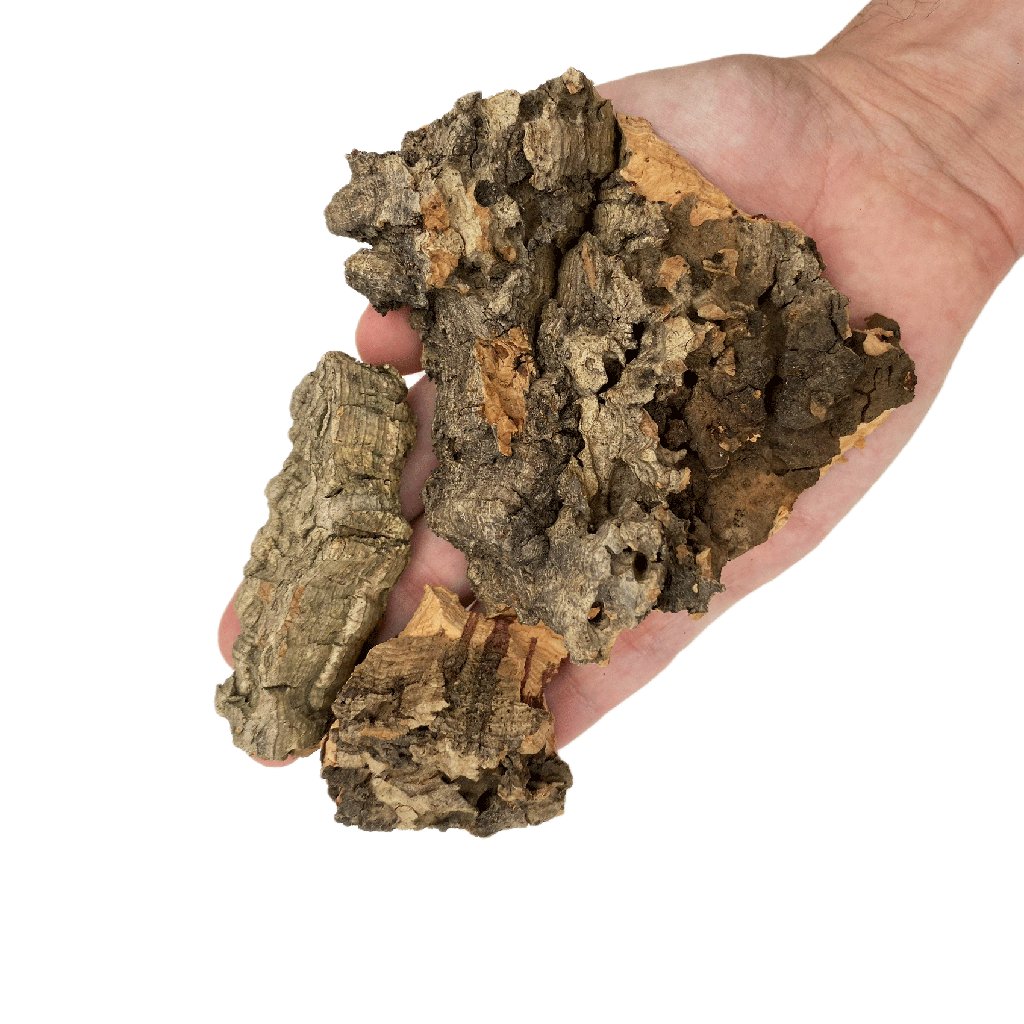 [WI52364] WIO | Cork - Nano (M)