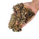 WIO | Cork - Nano