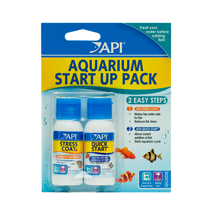 [AP84E] API Start Up Pack