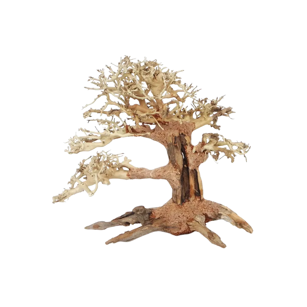 [MJDR08-17-FS] Pine Bonsai Wood Small