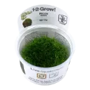 1-2-Grow! Riccia fluitans