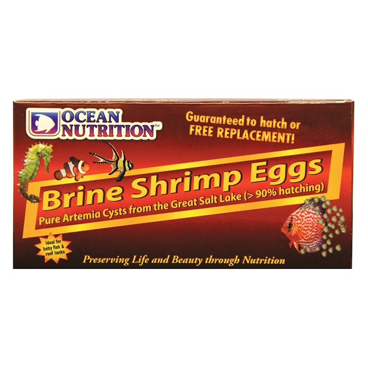 [OC1025065] Brine Shrimp Eggs 20 g