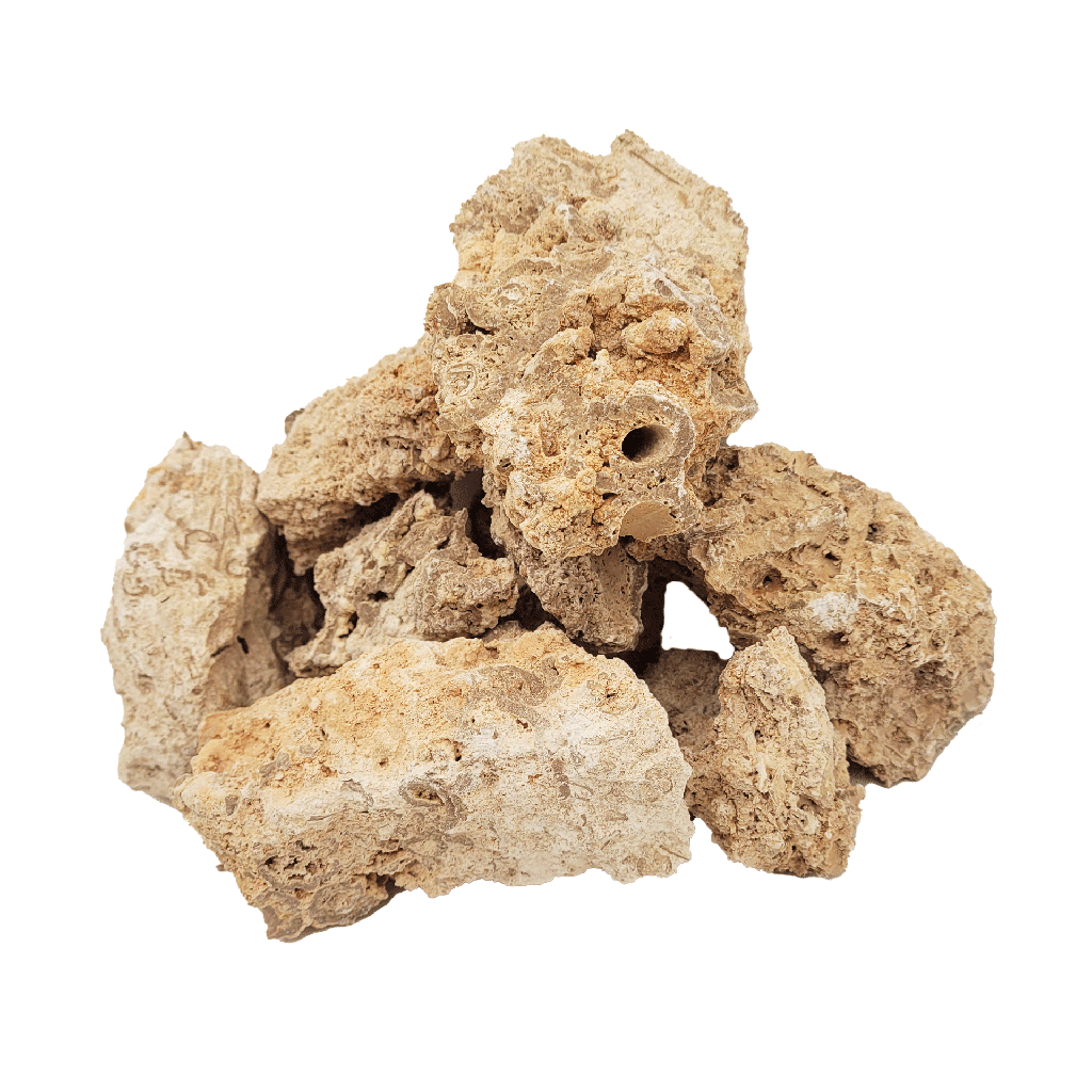 [WI52155] WIO | Nano Rocks - Paleorock (Limited)