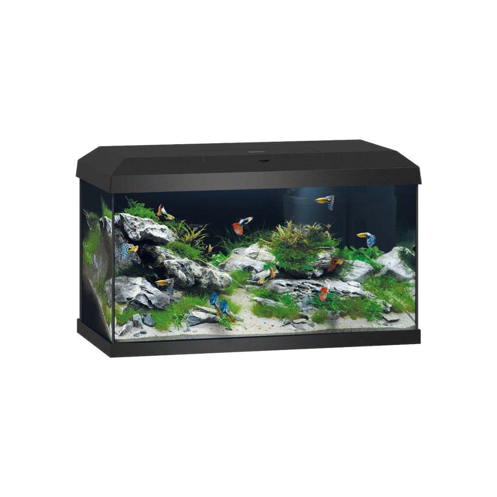 [JU25560] Primo 60 LED 2.0 - aquarium ONLY (Black)