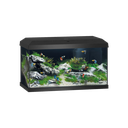 Primo 60 LED 2.0 - aquarium ONLY (Black)