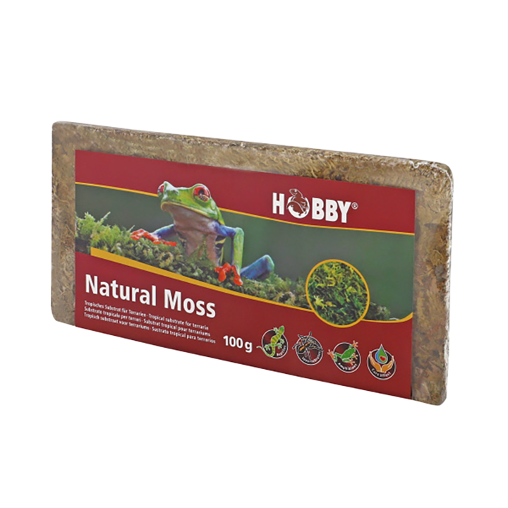 [HO34174] Natural Moss
