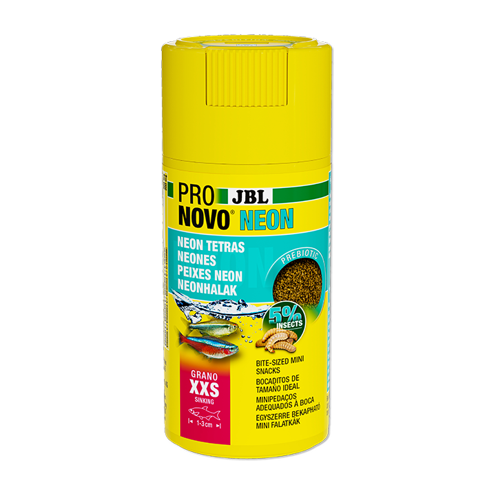 JBL PRONOVO NEON GRANO XXS