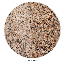 WIO | RiverBed - Shellbed