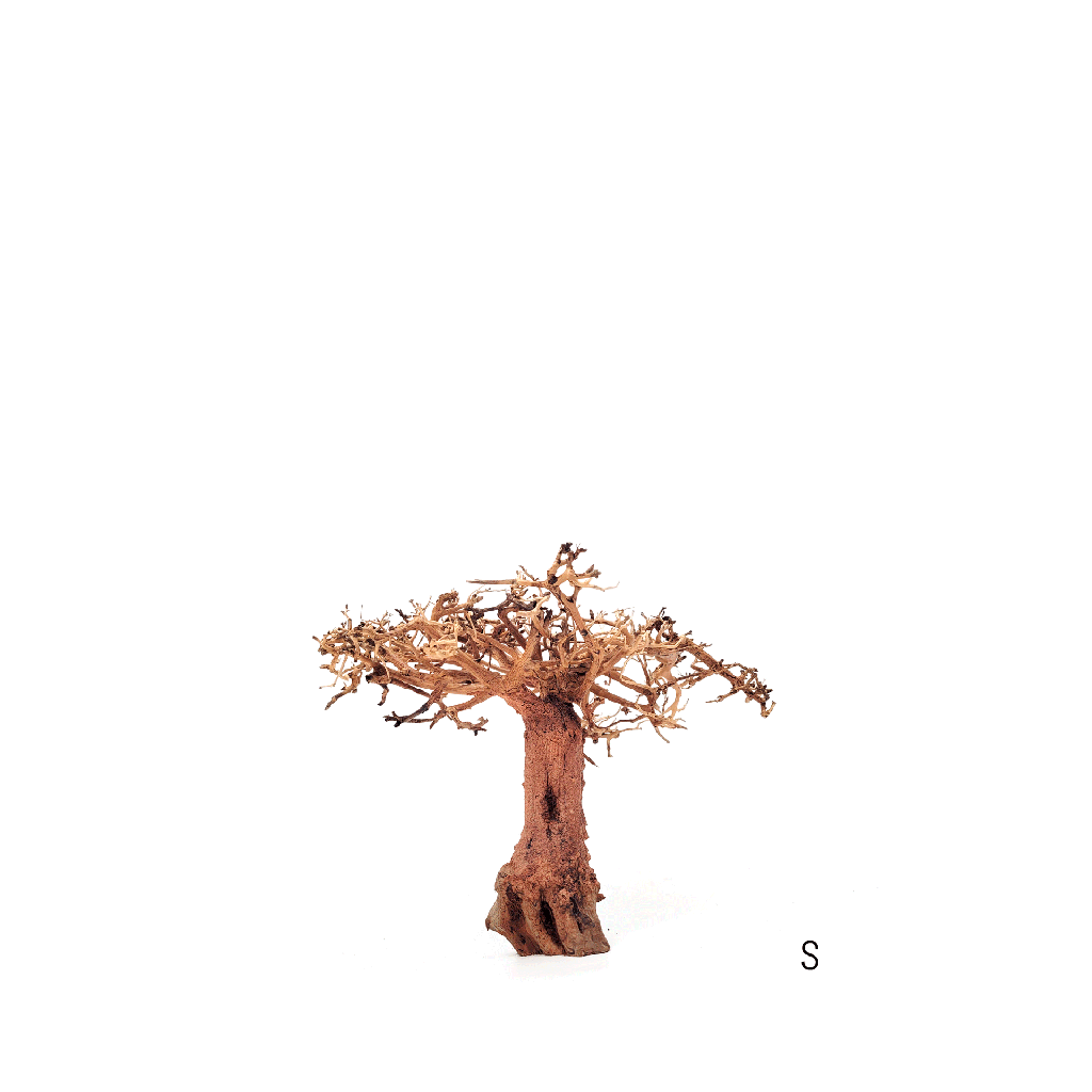 [WI52260] WIO | Arboretum - Tree (S - L:20-30/H:15-20cm)
