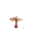 WIO | Arboretum - Tree