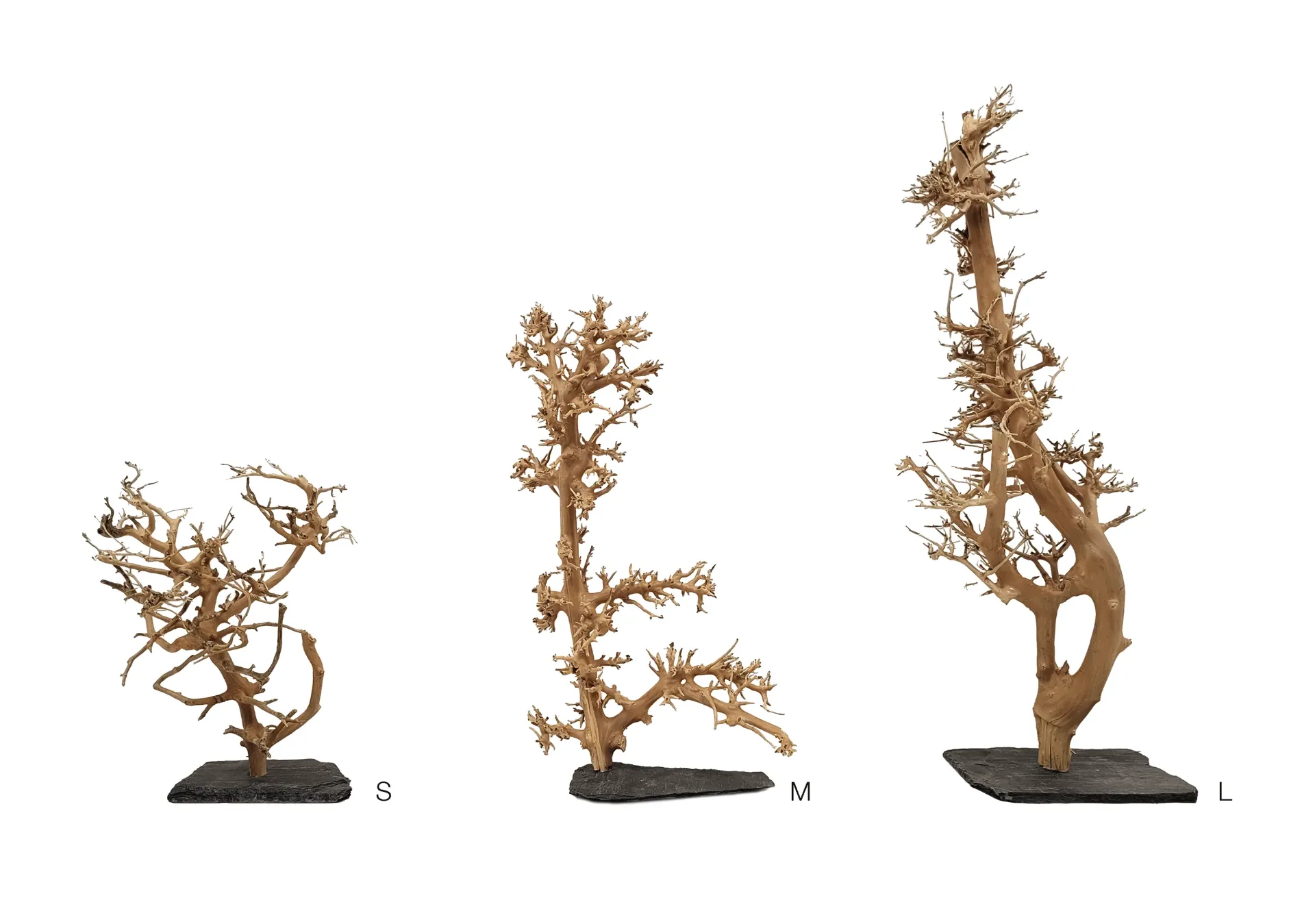 [WI52252] WIO | Arboretum - Forest Tree (S - H:15-20cm)