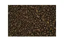 ADA | Aqua Soil-Amazonia