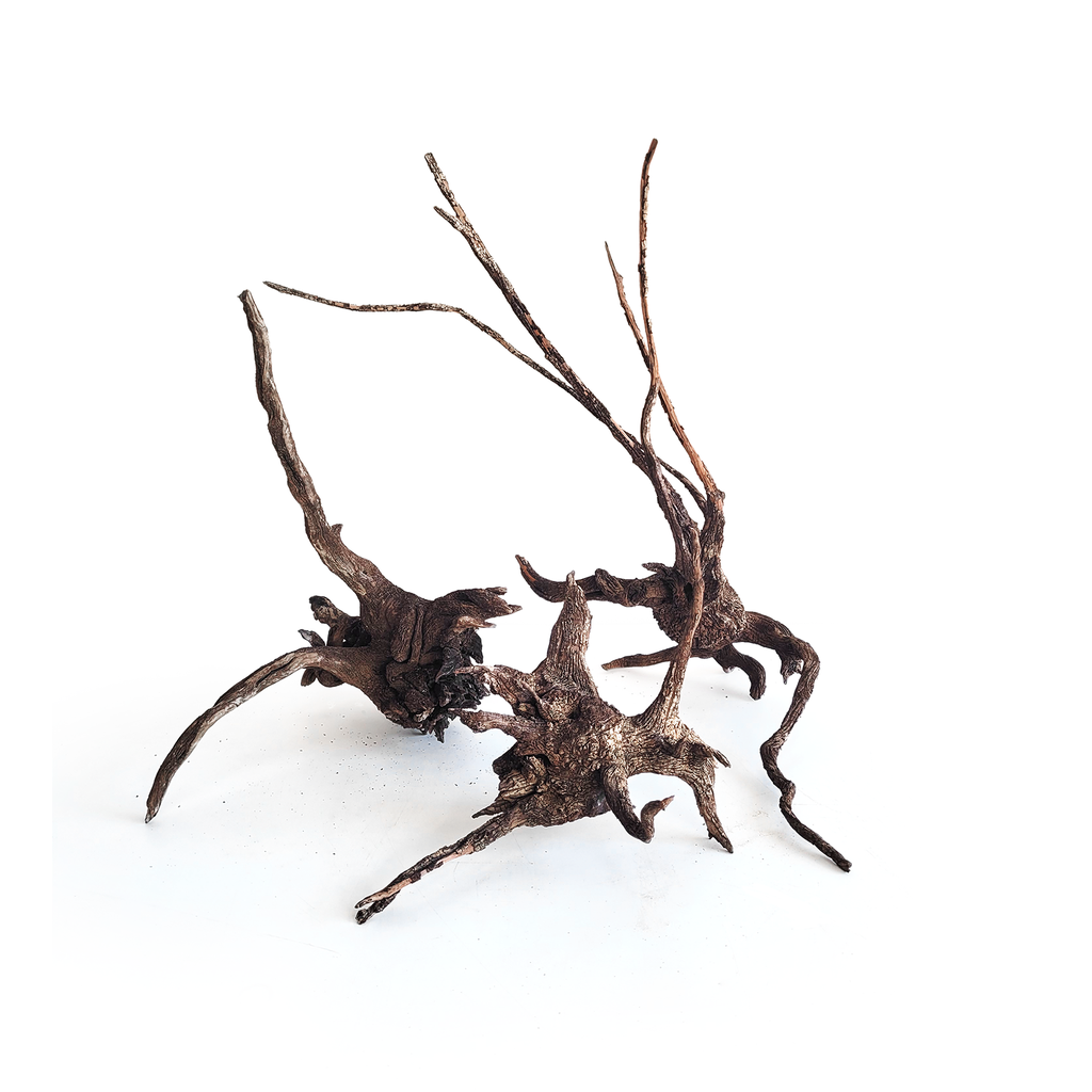 [WI52239] WIO | Wood - Striped (S 20-50 cm)