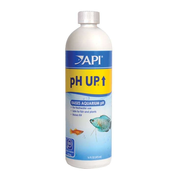 [AP31B] API pH Up (16 oz)