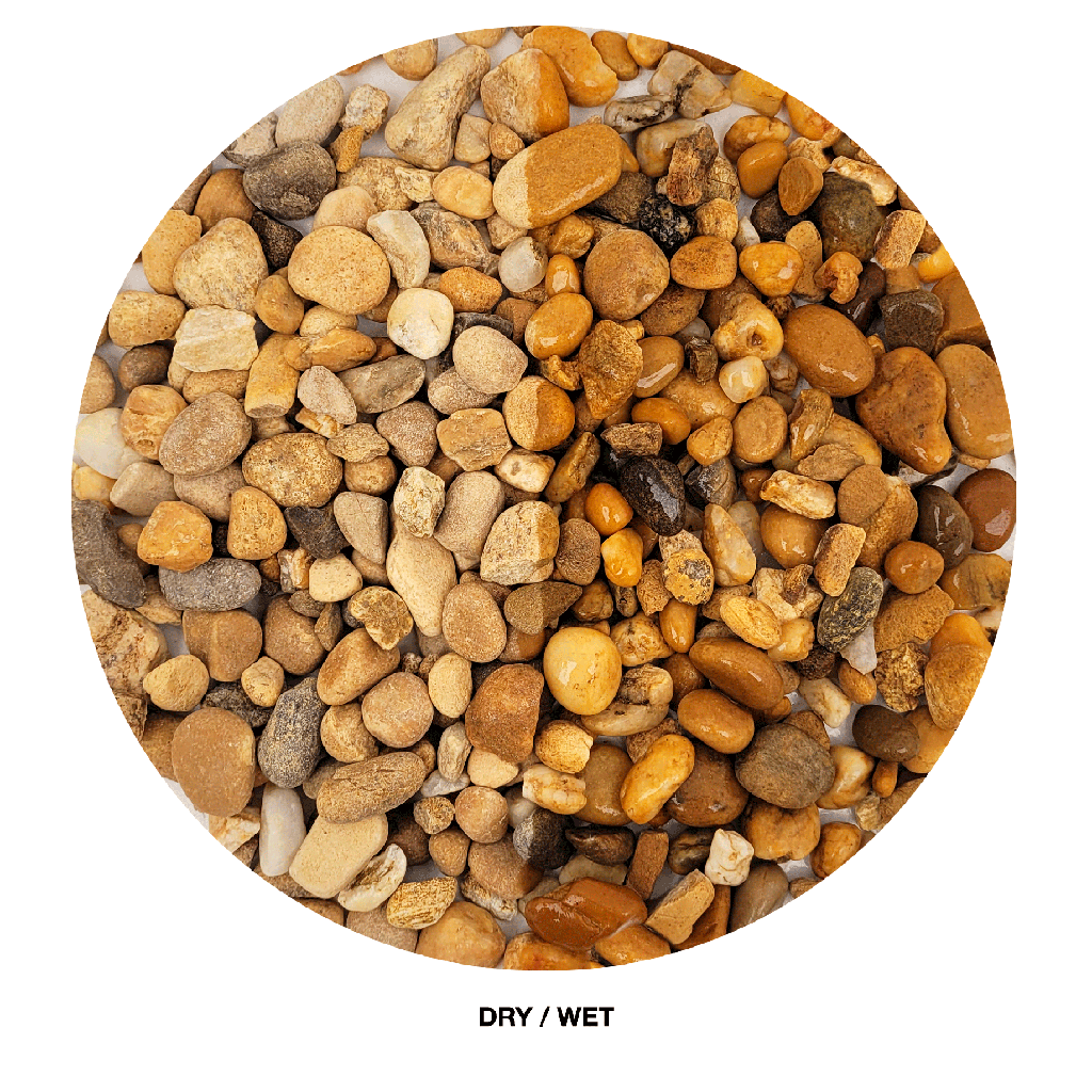 WIO | Gravel - Bumblebee