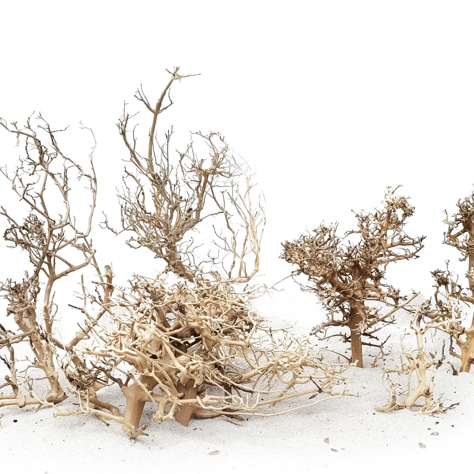 [WI52249] WIO | Wood - Canopy (S 10-20 cm)