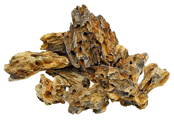 [MJDRA-1-017S] Dragon stone or Ohko or Alveolate rock (Small / 12-18 cm)