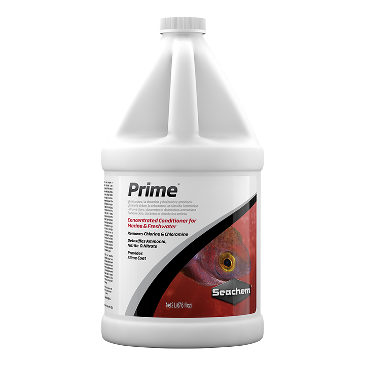 [SE438] Prime (2 L)