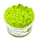 1-2-Grow! Spirodela polyrrhiza